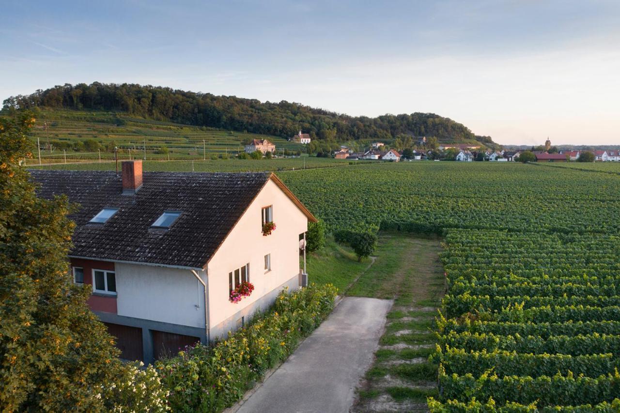 Ferienwohnung Mit 65Qm Niederrotweil Exteriör bild